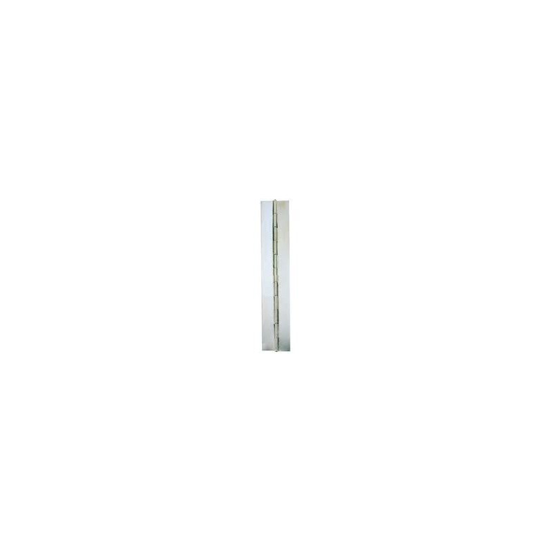 Charnière à bande en acier inoxydable Aisi 304 2 m x 30 mm.