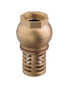 Foot valve 3/4"