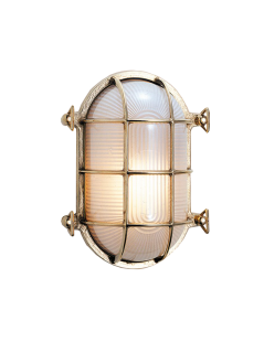 Oval turtle ceiling lamp