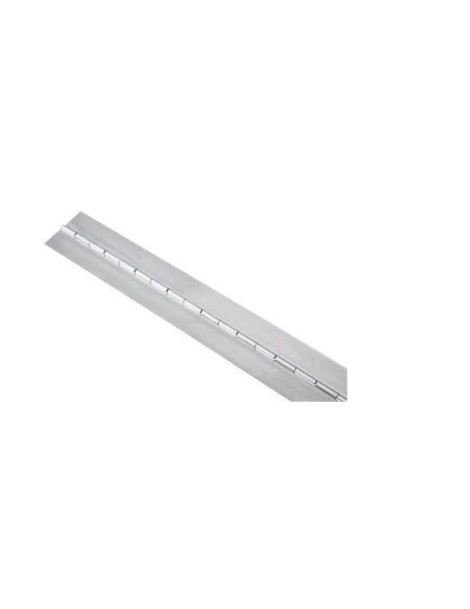 Hinge-MM 50X2X1980 - A2