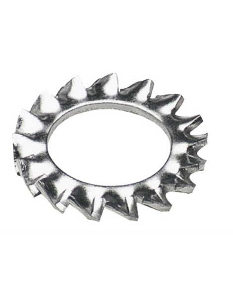 Rondella dentellata acciaio Inox AISI 316