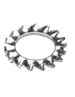Rondella dentellata acciaio Inox AISI 316