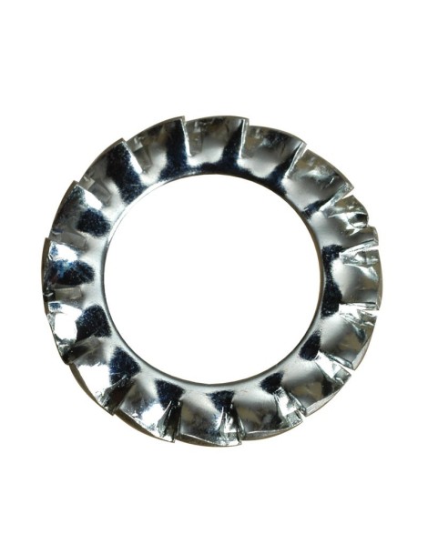 Rondella dentellata acciaio Inox AISI 316