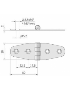 100x30 mm Aisi 316 stainless steel 'long wing' hinge.
