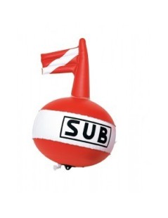Boa segna sub bandiera gonfiabile