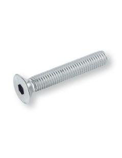 Vis à tête fraisée plate à six pans creux M10 UNI 5933 acier inoxydable AISI 316