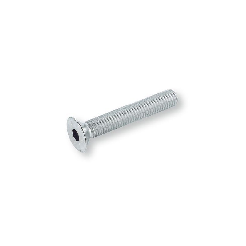 Vite testa svasata piana esagono incassato M16 UNI 5933 acciaio inox AISI 316