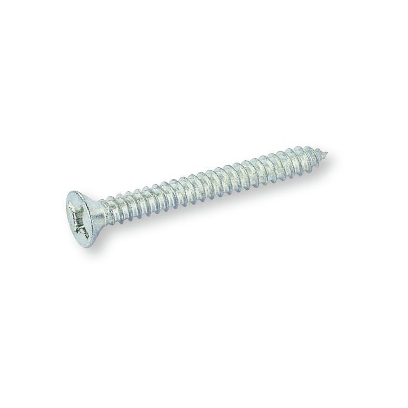 Vis autotaraudeuse à tête fraisée plate cruciforme Ø 2,9 mm. Acier inoxydable UNI 6955 AISI 316